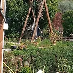 La Casa Di Trilli * Moneglia