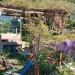 Apartmán La Casa Di Trilli *