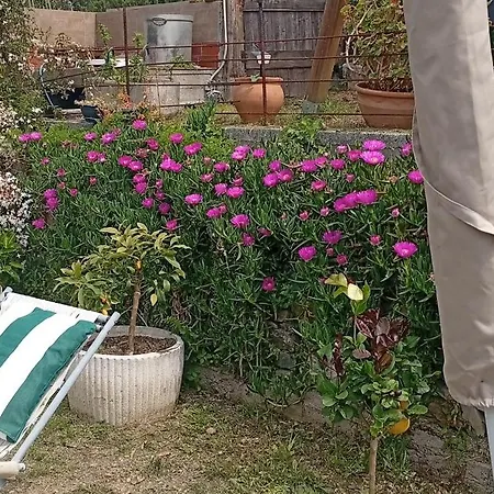 La Casa Di Trilli Apartmán Moneglia