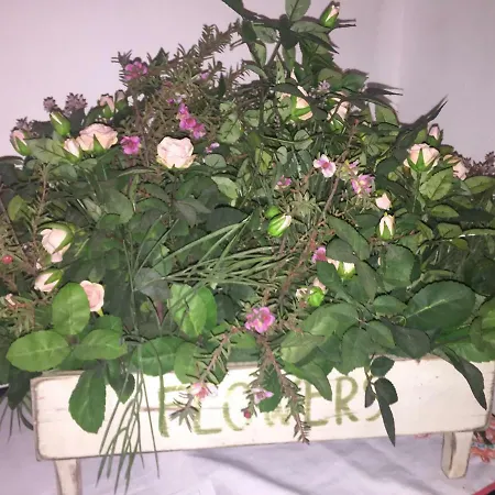 Bed & Breakfast Marika's 4*