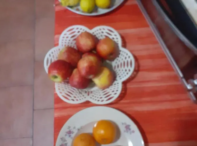 Marika's 4* Moneglia