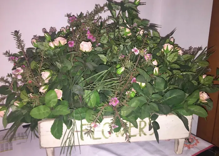 Bed and breakfast Marika's 4*