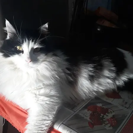 Marika's Frühstückspension Moneglia