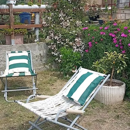 La Casa Di Trilli *