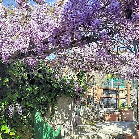 La Casa Di Trilli